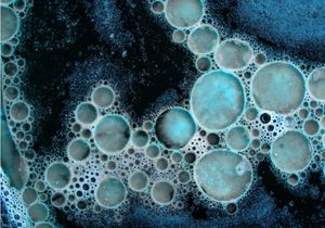 foam